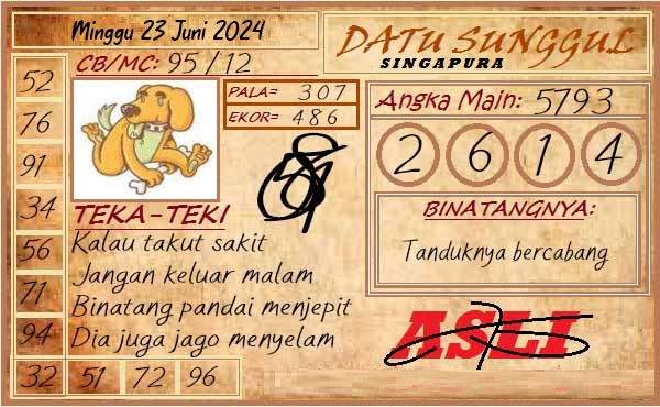 SYAIR SGP VIP
